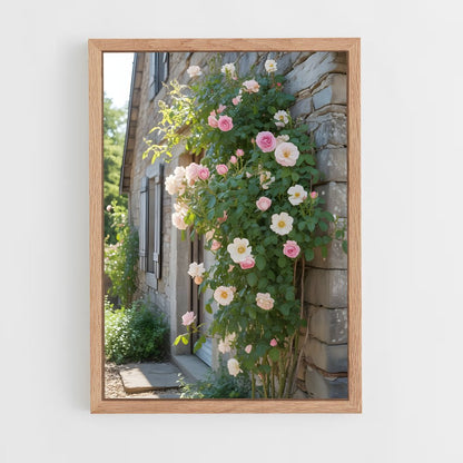 ap-climbing rose-6 cadre Bois clair