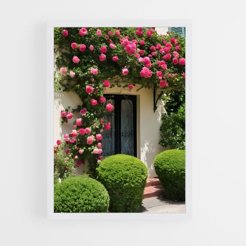 ap-climbing rose-8 cadre Blanc