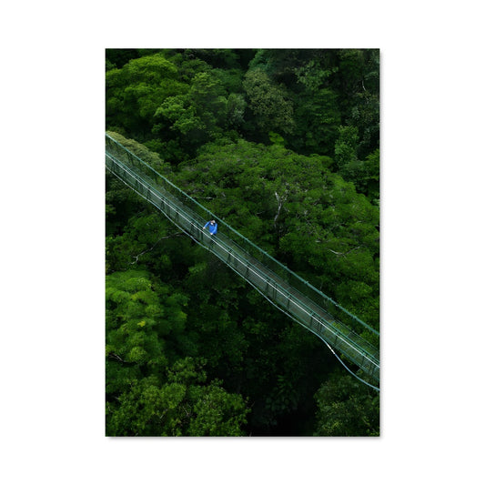 Poster Traversée Tropicale