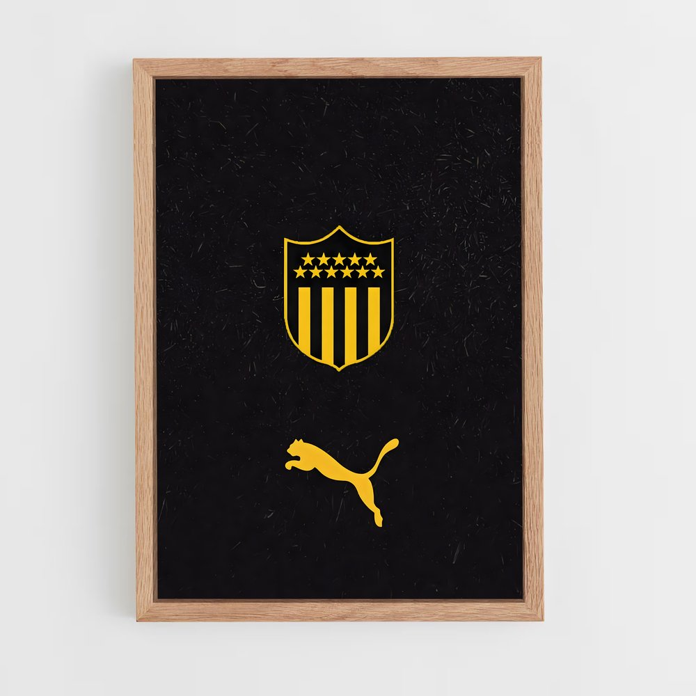 ap-club atletico penarol-3 cadre Bois clair