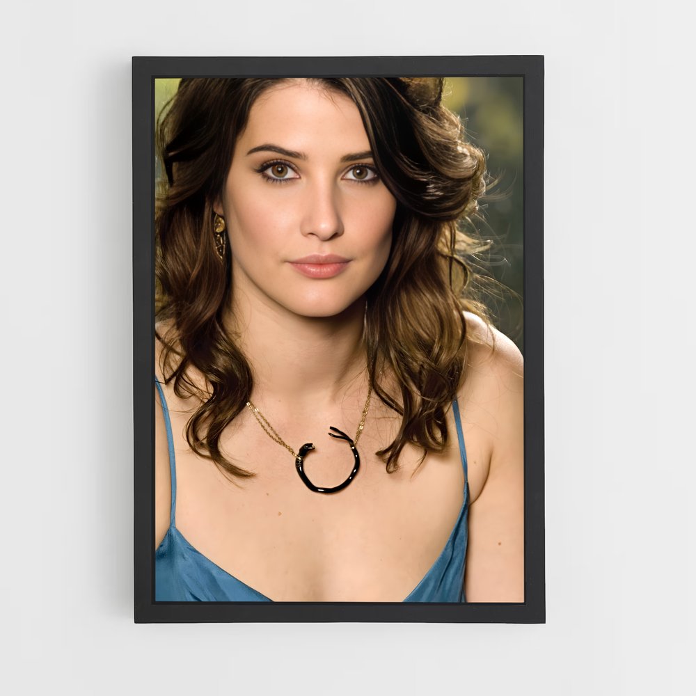 ap-cobie smulders-5 cadre Noir