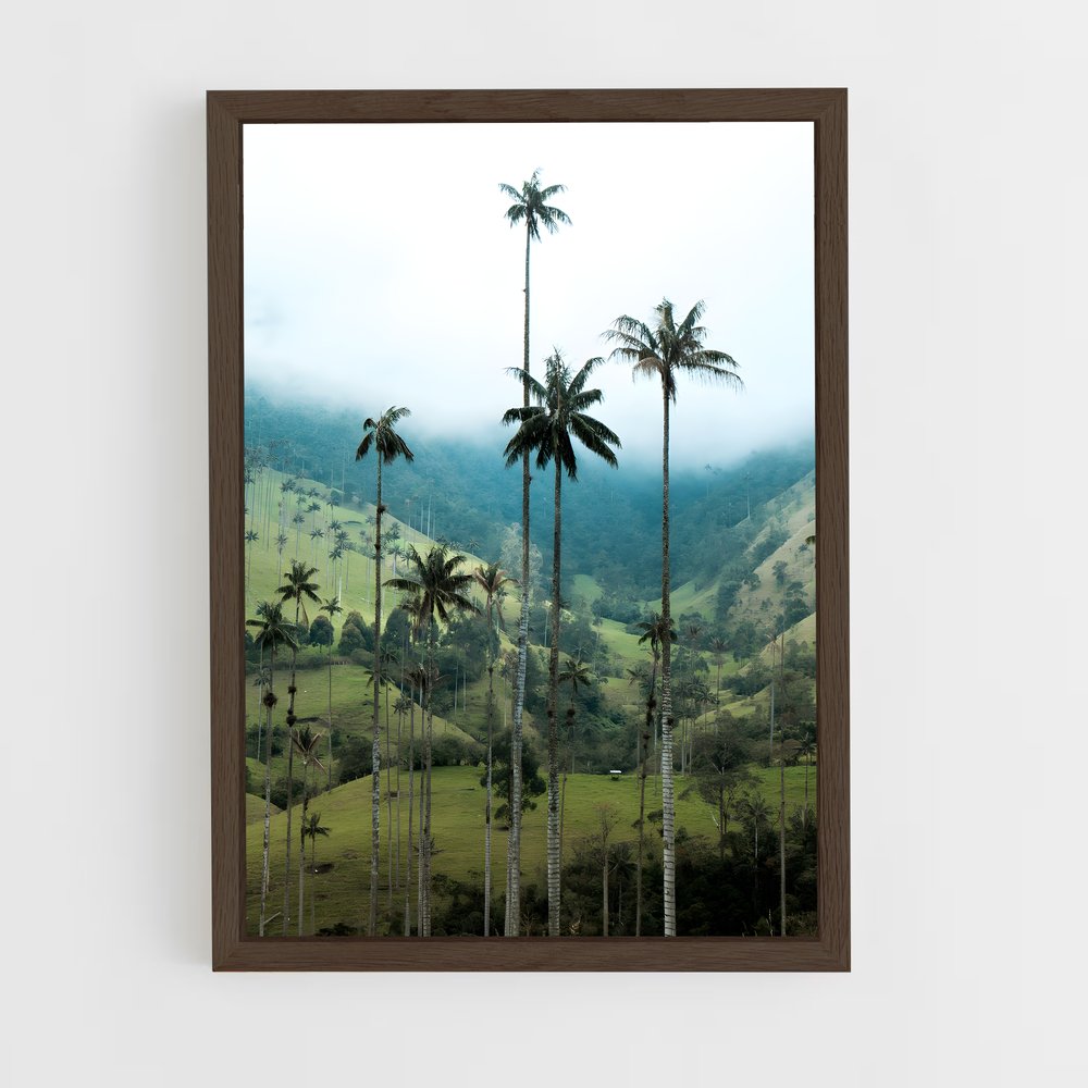 ap-cocora valley-2 cadre Bois foncé