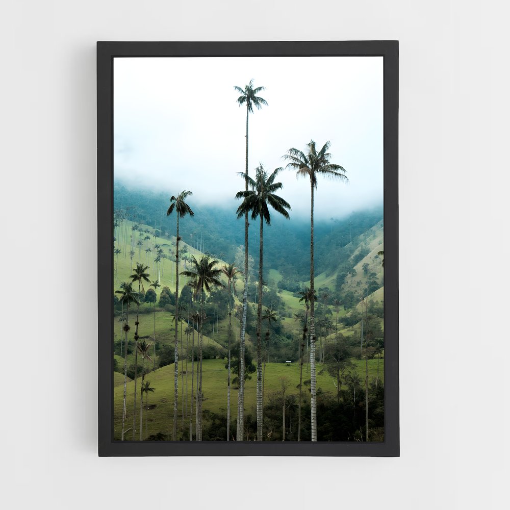 ap-cocora valley-2 cadre Noir