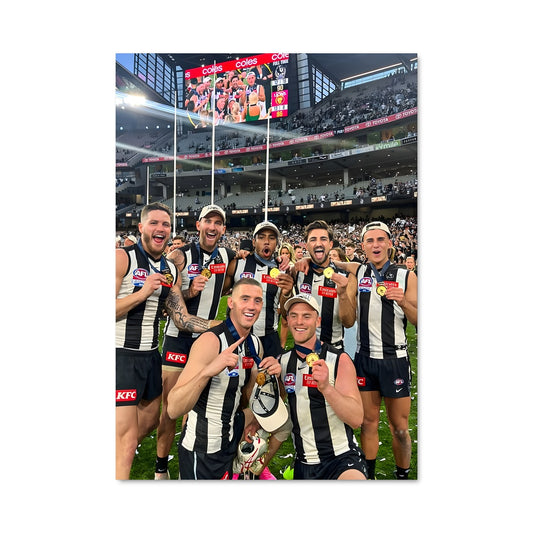 Poster Celebration Magpie