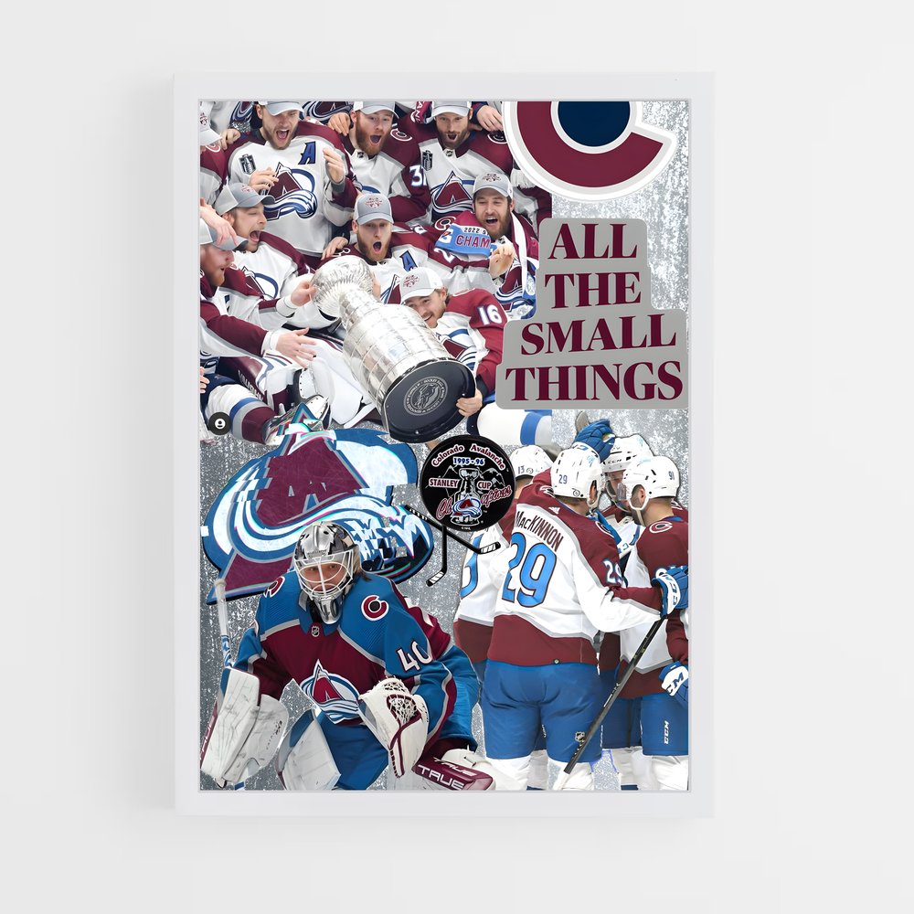 ap-colorado avalanche-6 cadre Blanc