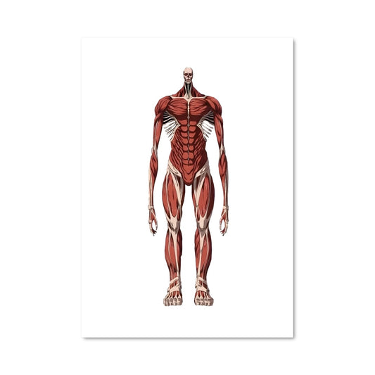 Poster Titan Muscles