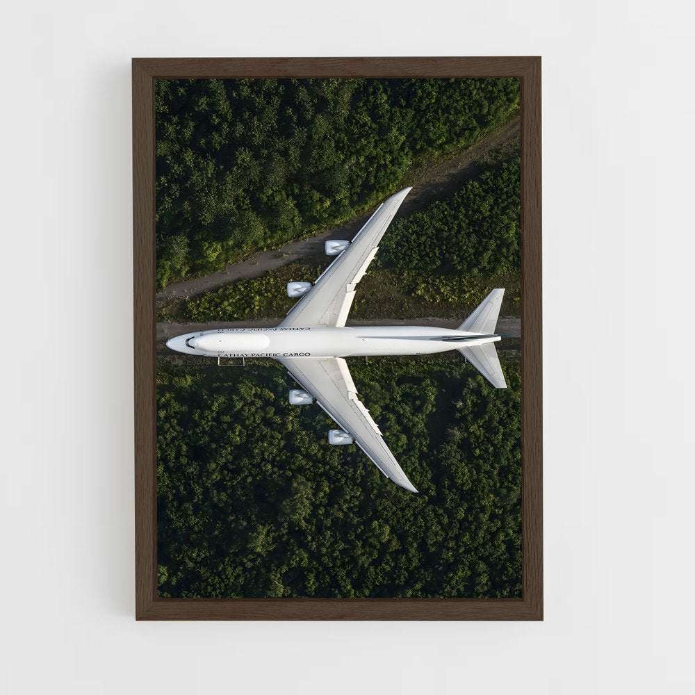 ap-commercial planes-8 cadre Bois foncé