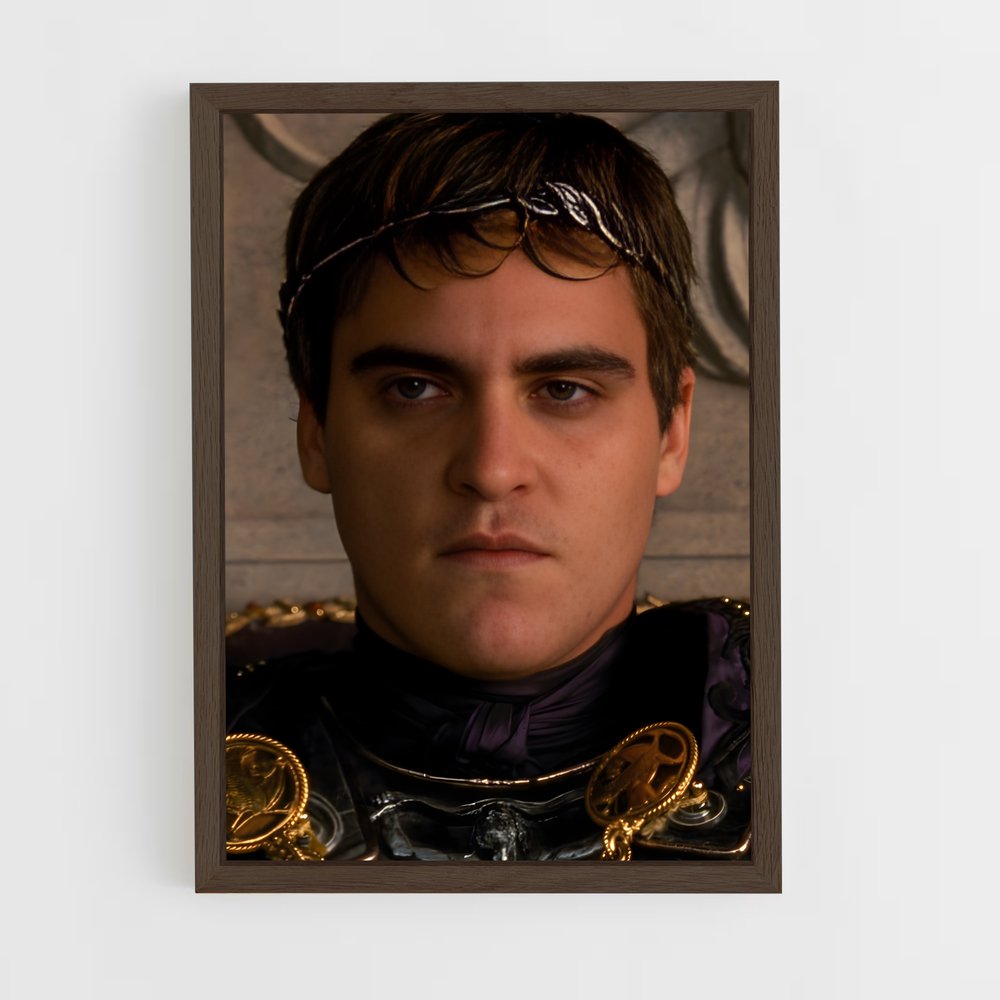 ap-commodus-2 cadre Bois foncé