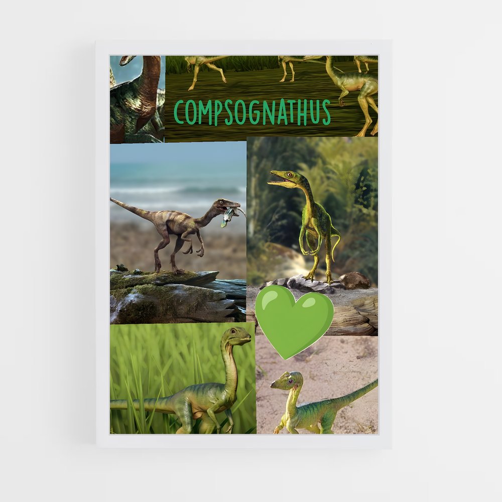 ap-compsognathus-2 cadre Blanc
