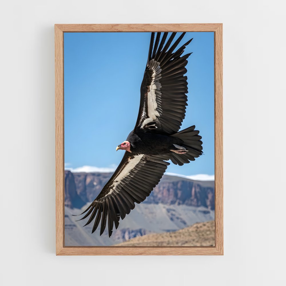 ap-condor-3 cadre Bois clair