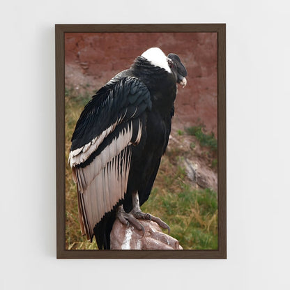 ap-condor-4 cadre Bois foncé