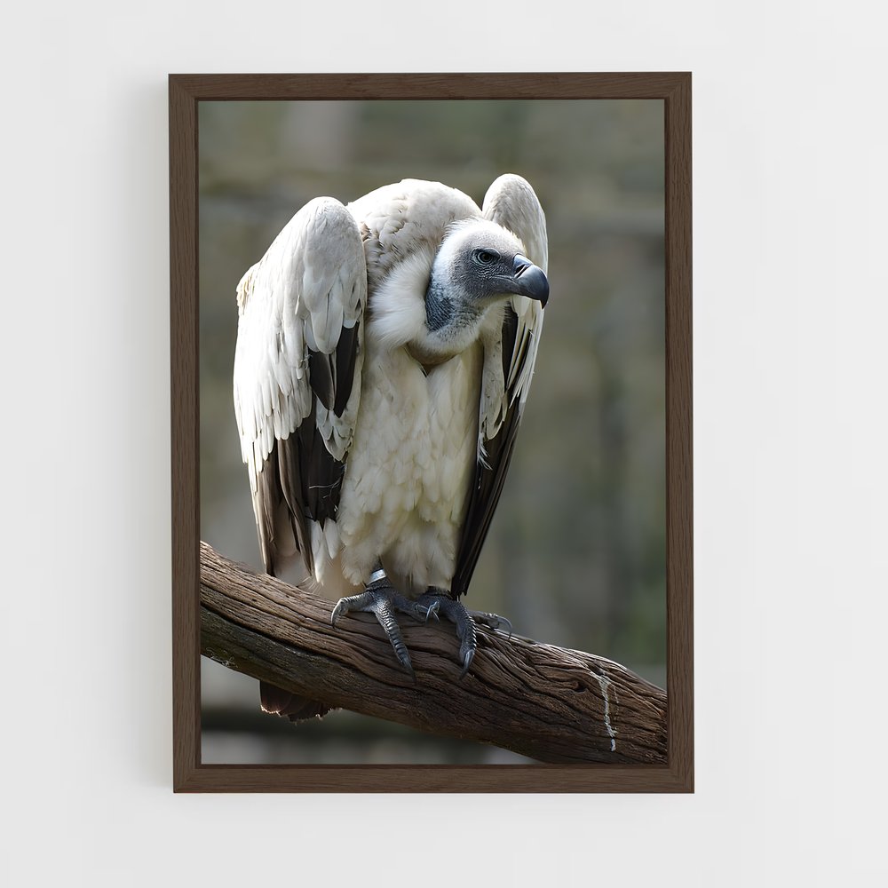 ap-condor-6 cadre Bois foncé