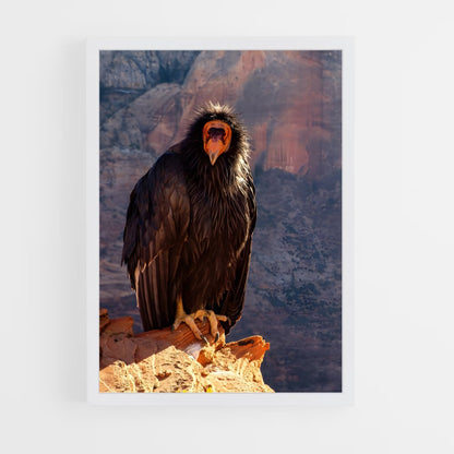 ap-condor-7 cadre Blanc