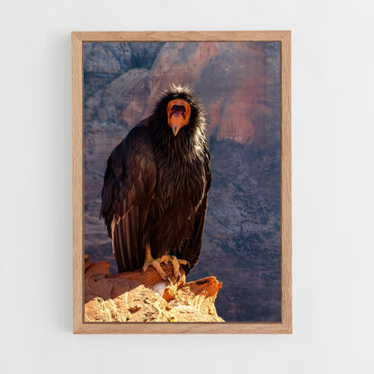 ap-condor-7 cadre Bois clair