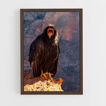 ap-condor-7 cadre Bois foncé
