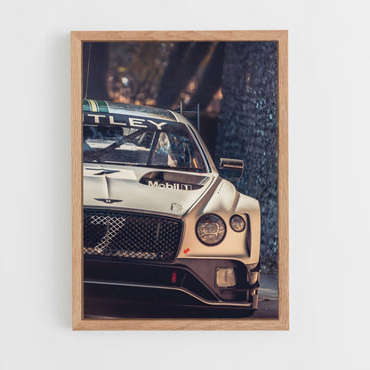 ap-continental gt3-1 cadre Bois clair