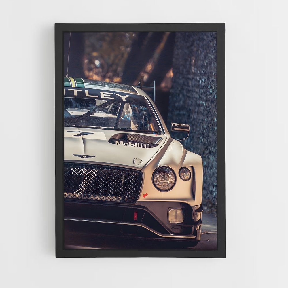 ap-continental gt3-1 cadre Noir