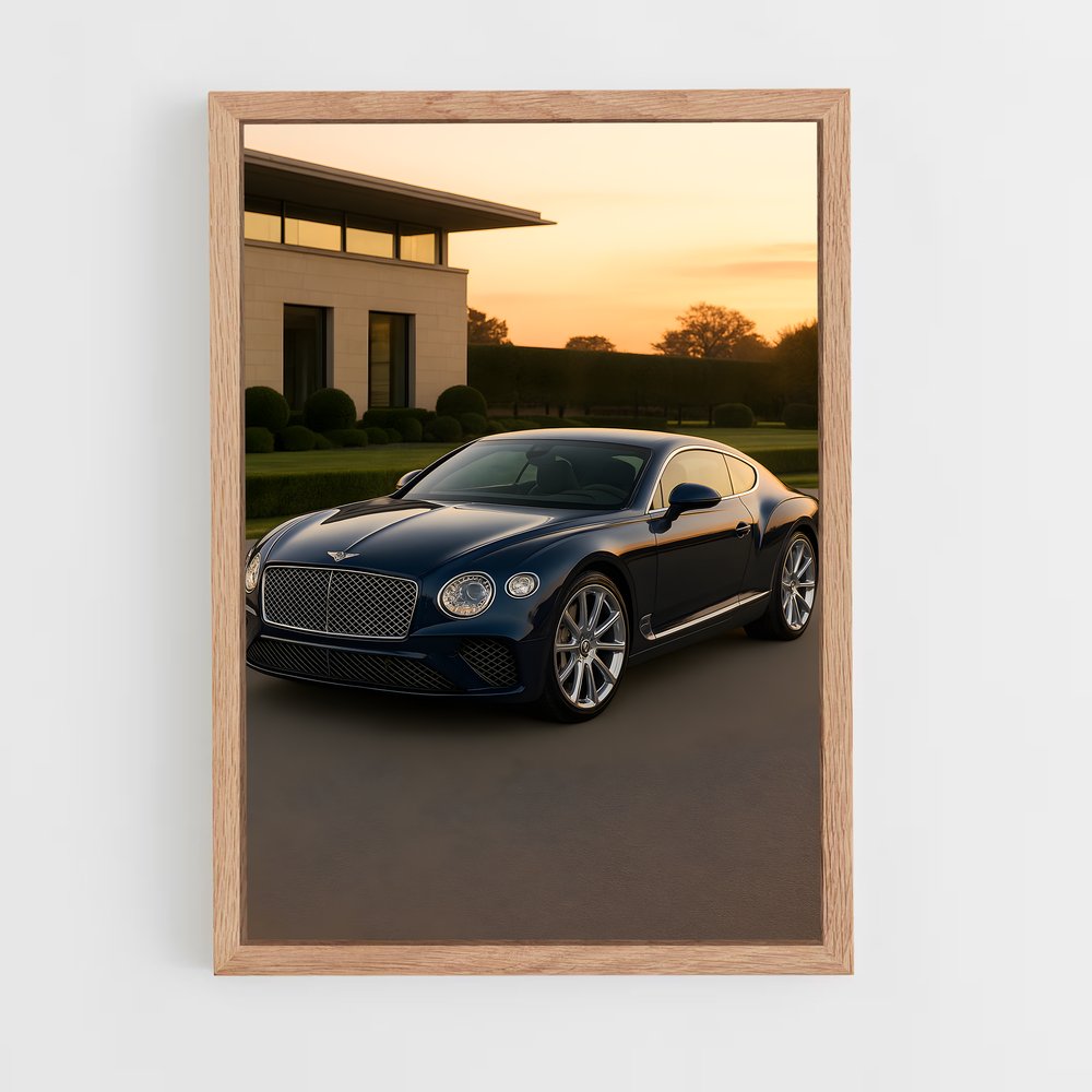 ap-continental gt speed-5 cadre Bois clair