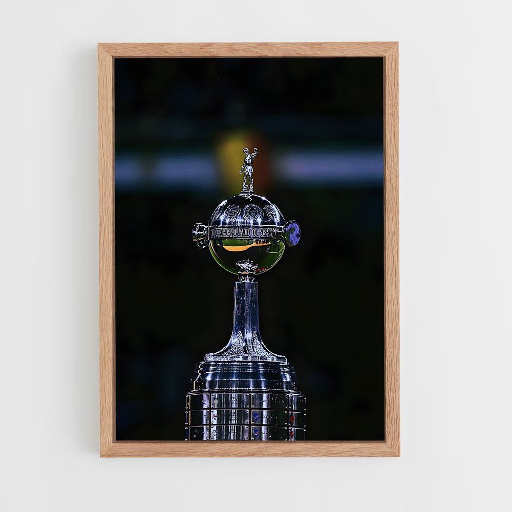 ap-copa libertadores-1 cadre Bois clair