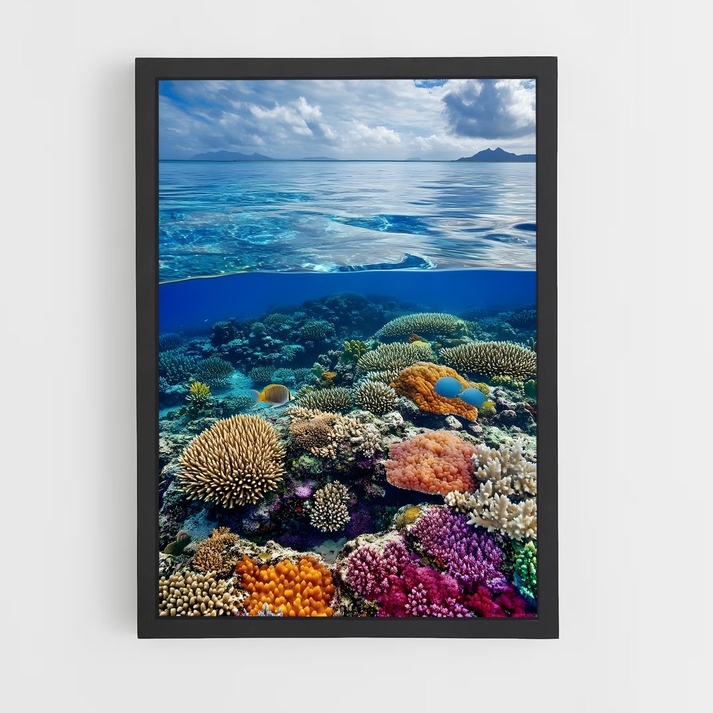 ap-coral reef-3 cadre Noir