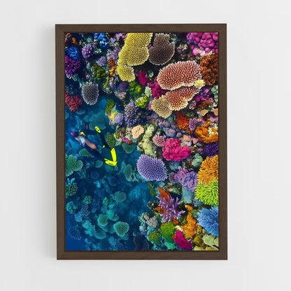 ap-coral reef-9 cadre Bois foncé