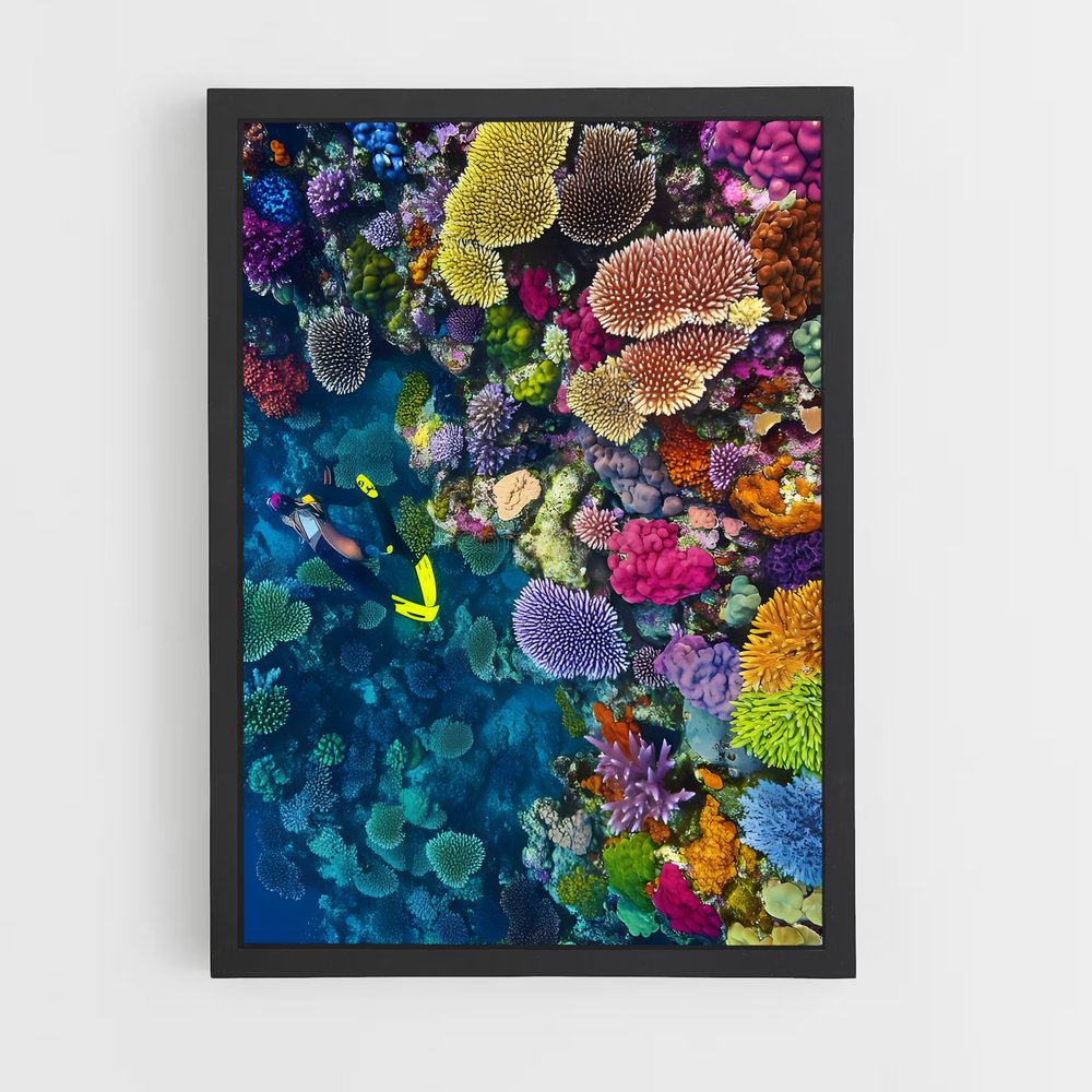 ap-coral reef-9 cadre Noir