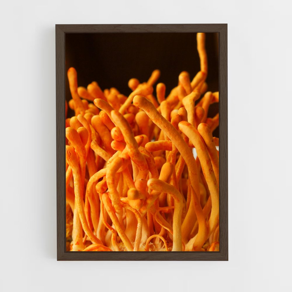 ap-cordyceps-1 cadre Bois foncé