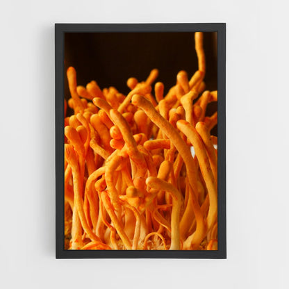 ap-cordyceps-1 cadre Noir