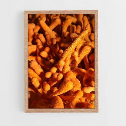 ap-cordyceps-3 cadre Bois clair