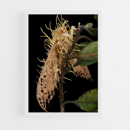 ap-cordyceps-5 cadre Blanc