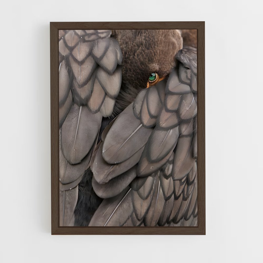ap-cormorant-5 cadre Bois foncé