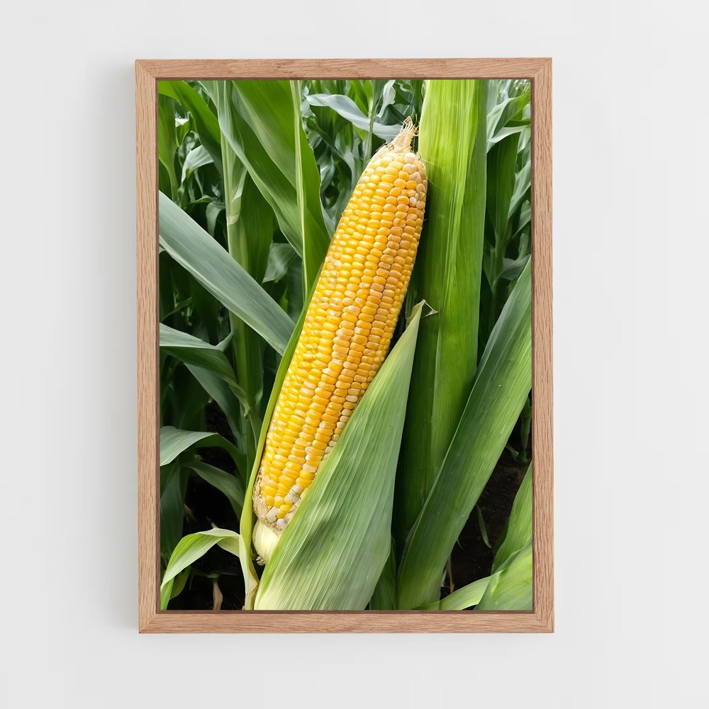 ap-corn-7 cadre Bois clair
