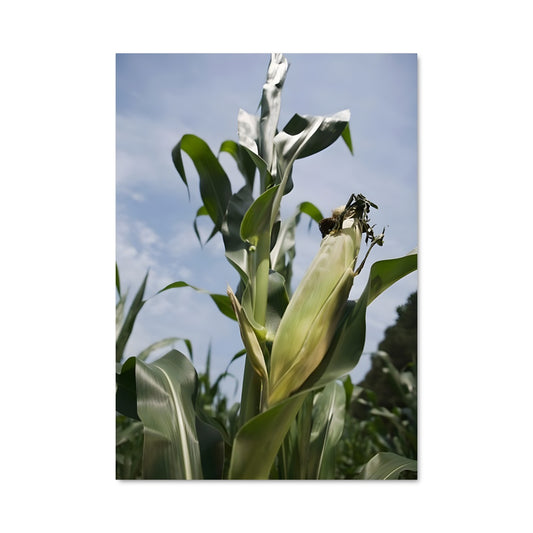 Poster Abeille en Épi