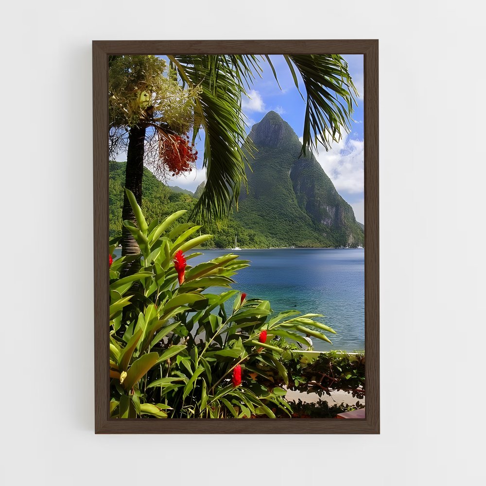 ap-corn islands-1 cadre Bois foncé