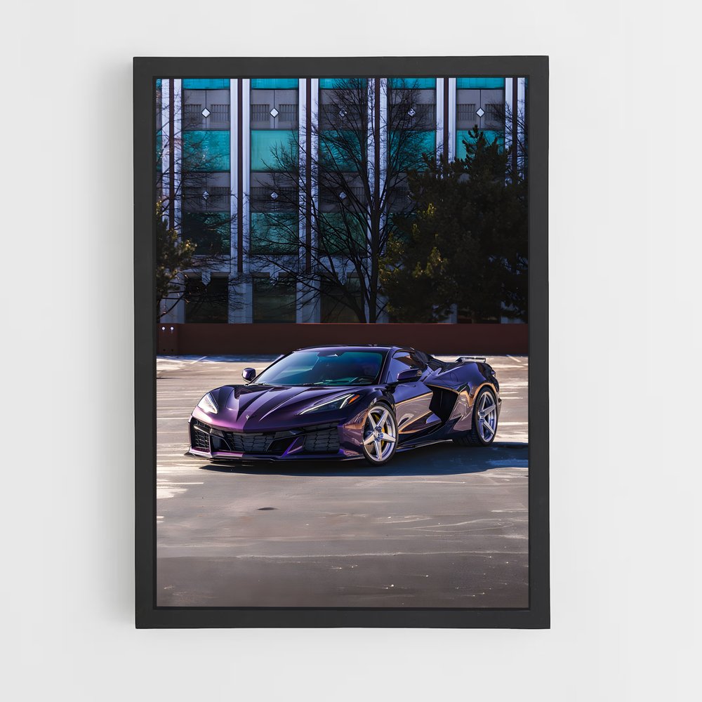 ap-corvette c8 z06-5 cadre Noir