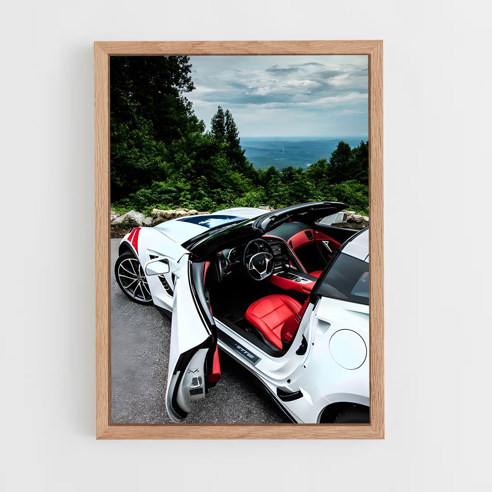 ap-corvette grand sport-1 cadre Bois clair