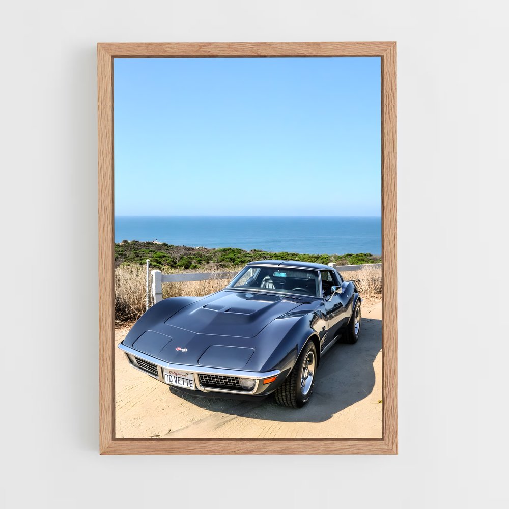 ap-corvette stingray-2 cadre Bois clair