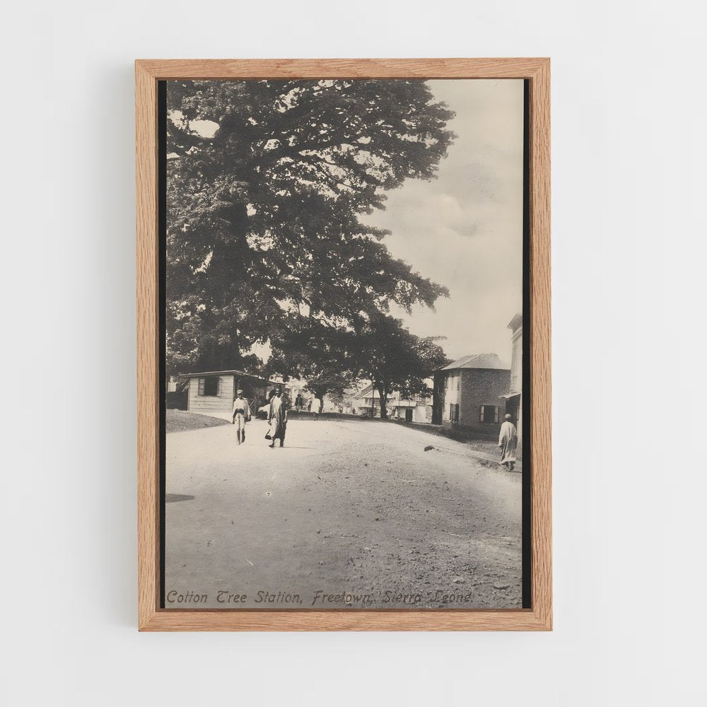 ap-cotton tree freetown-1 cadre Bois clair