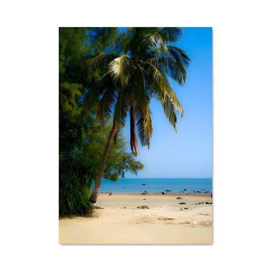 Poster Cox s bazar 87629