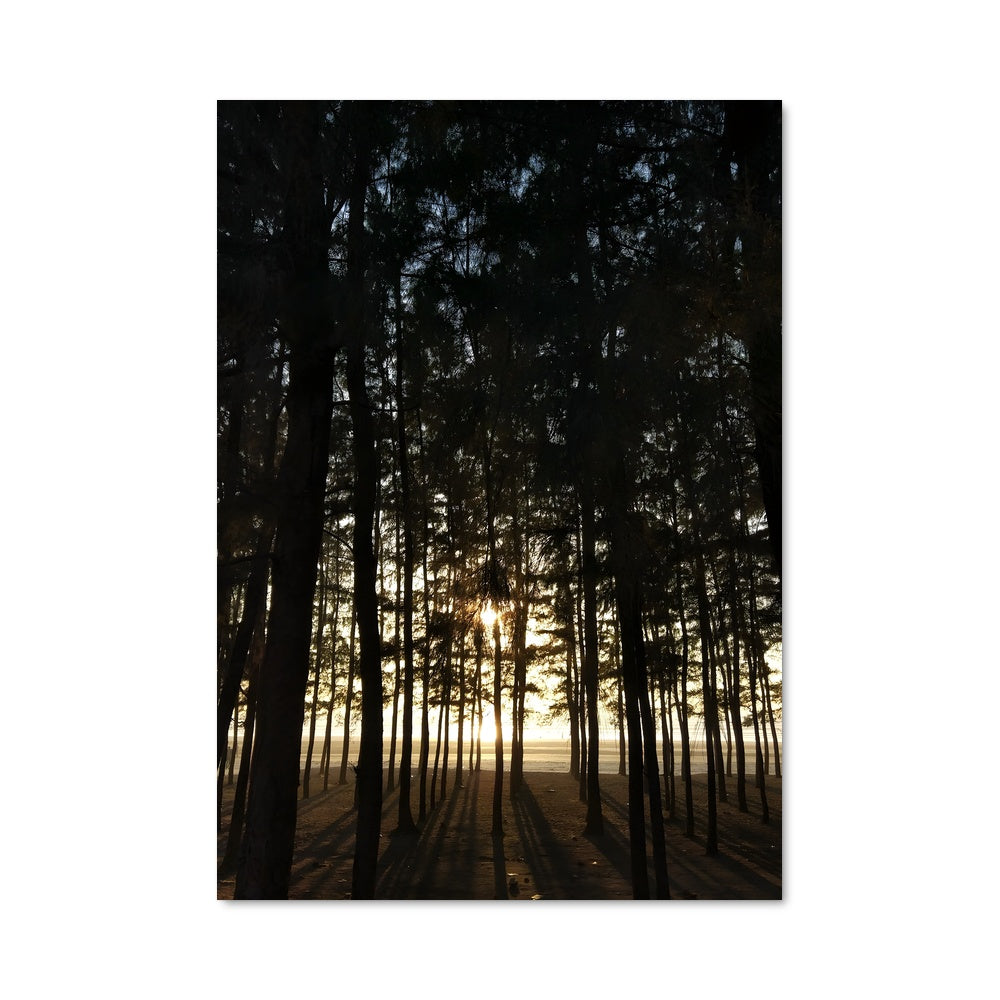 Poster Lumière des Bois