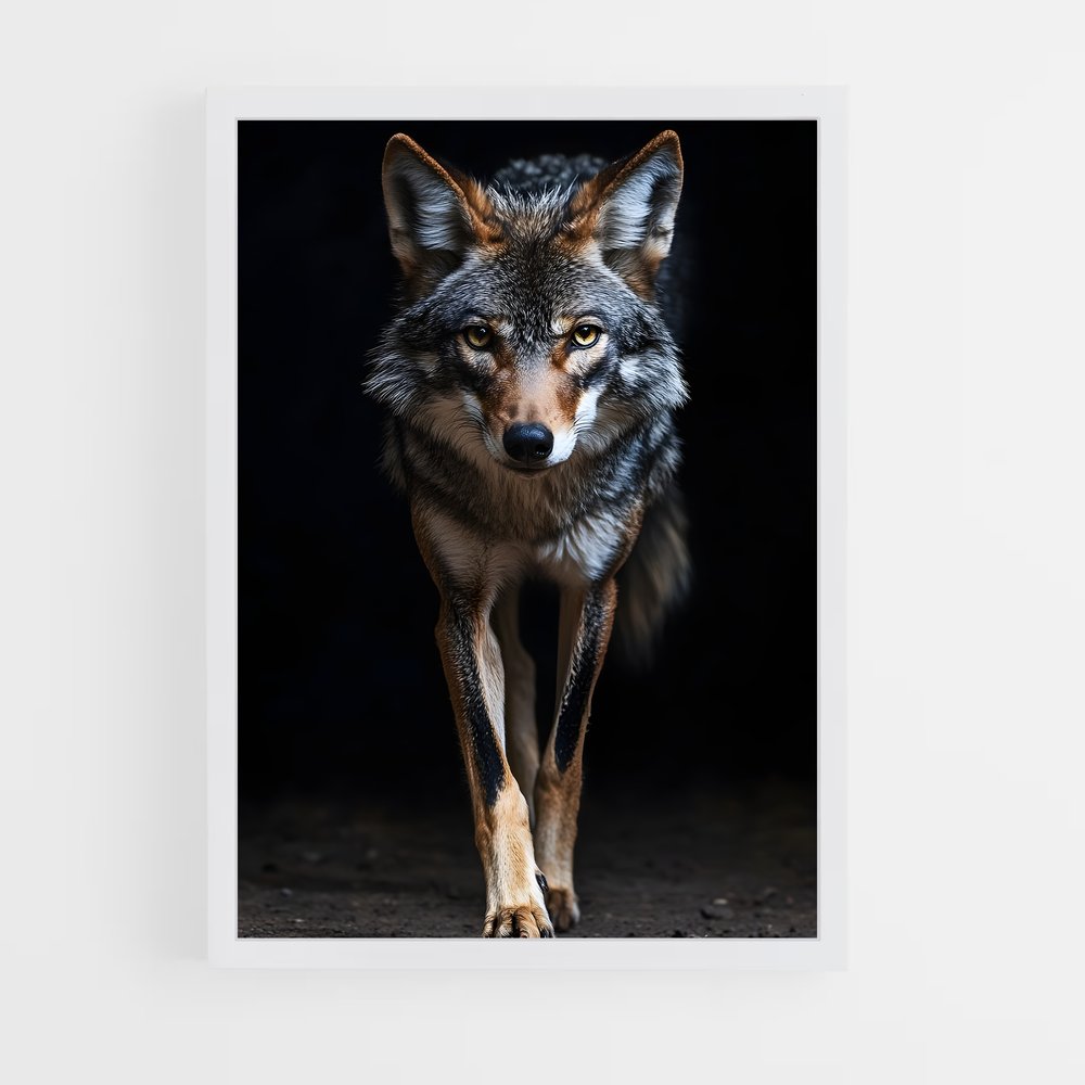 ap-coyote-7 cadre Blanc