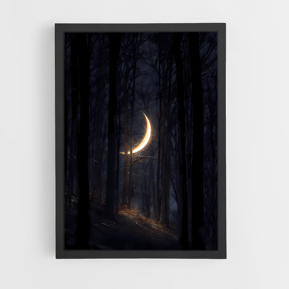 ap-crescent-2 cadre Noir