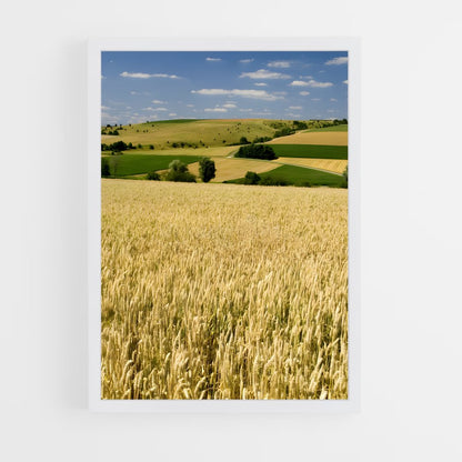 ap-crop-1 cadre Blanc