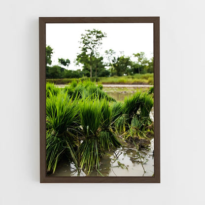 ap-crop-4 cadre Bois foncé