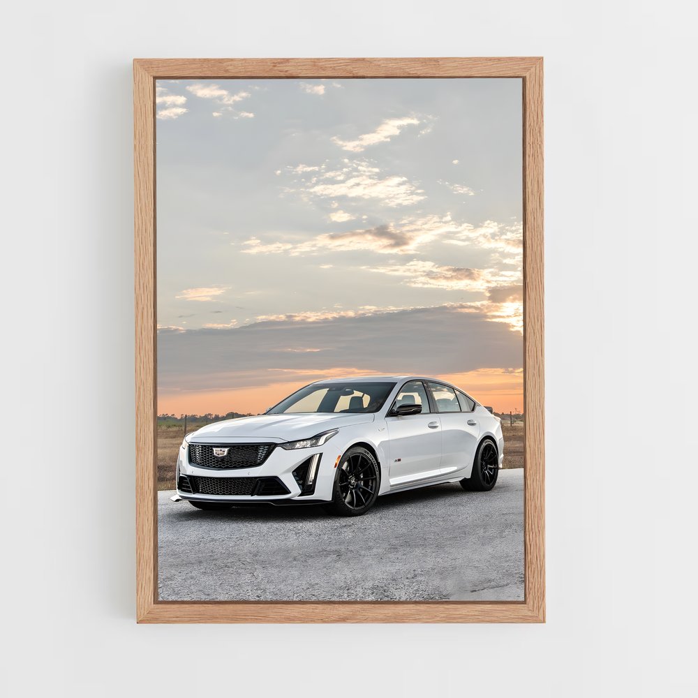 ap-cts-v-1 cadre Bois clair