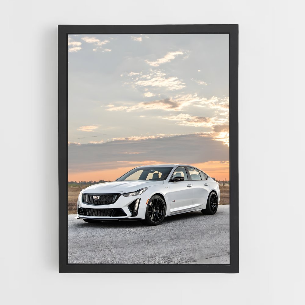 ap-cts-v-1 cadre Noir