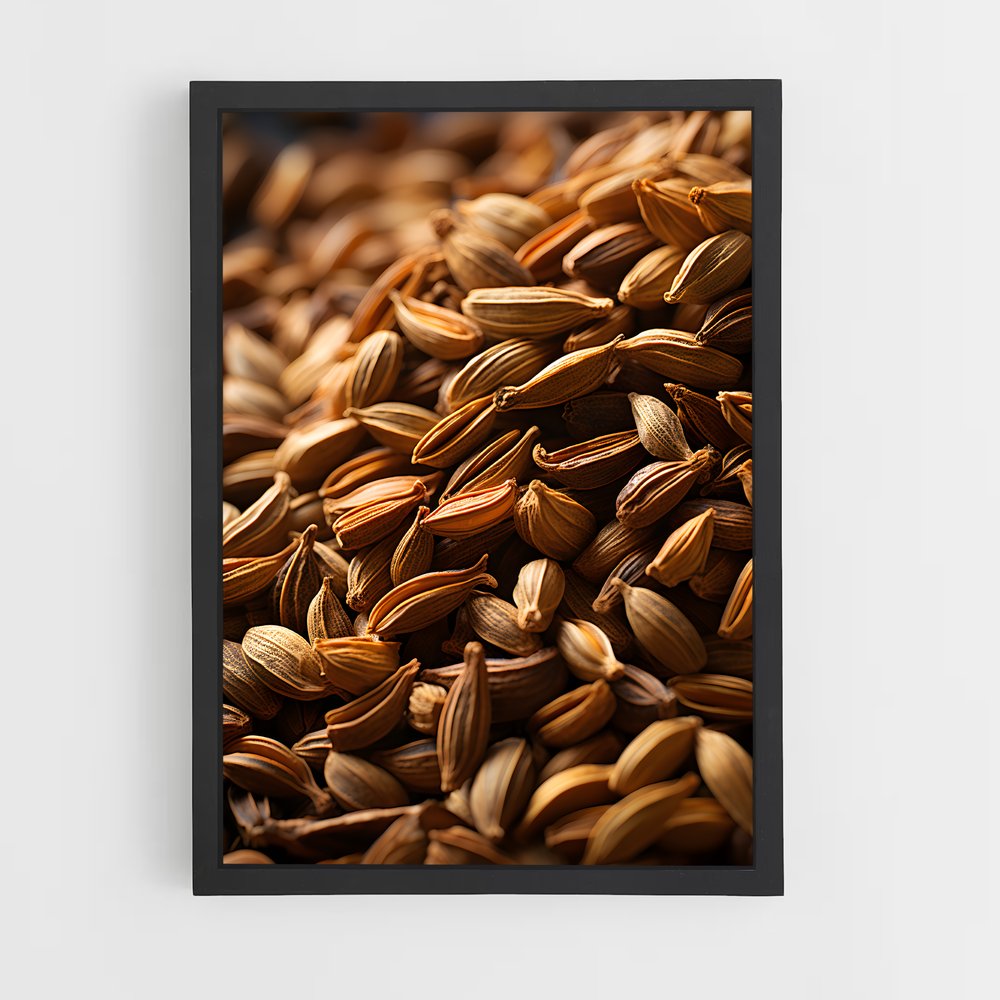 ap-cumin-1 cadre Noir
