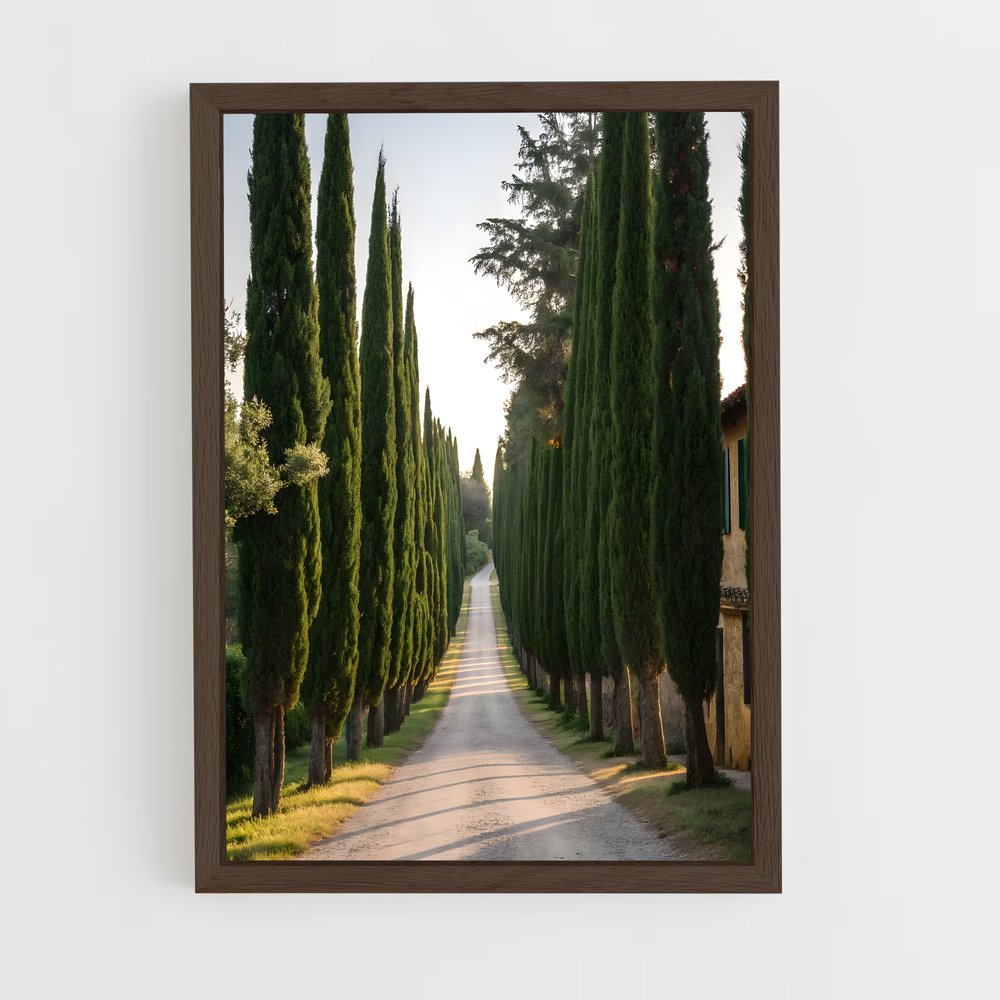 ap-cypress-2 cadre Bois foncé