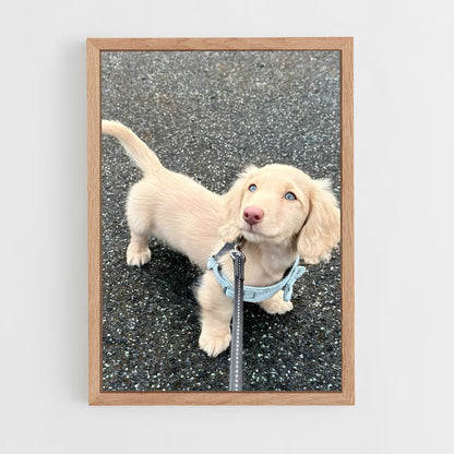 ap-dachshund-1 cadre Bois clair