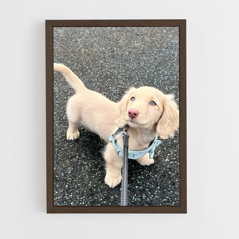 ap-dachshund-1 cadre Bois foncé